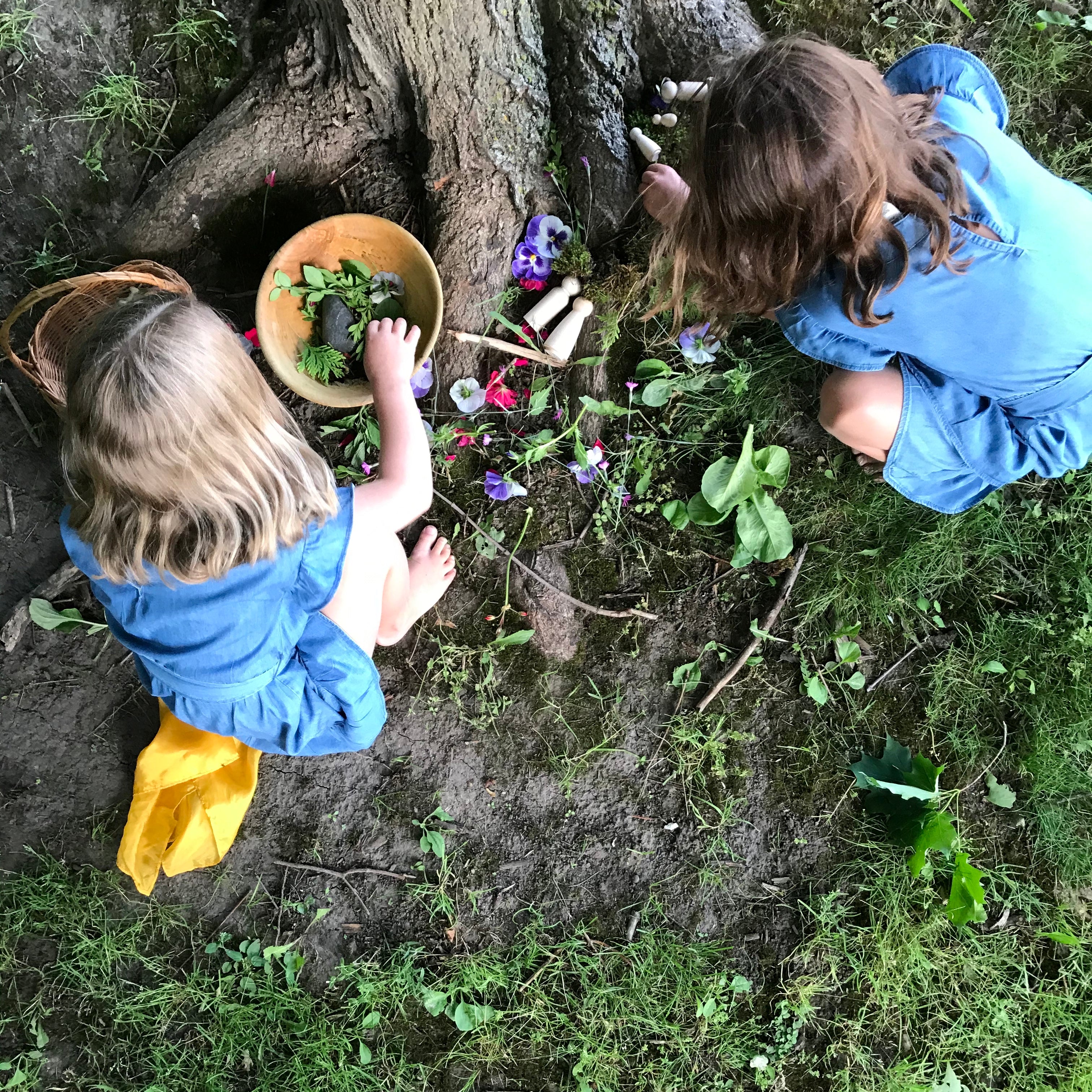 Foraging Fun The Crazy Benefits of Foraging – The Doodle Post